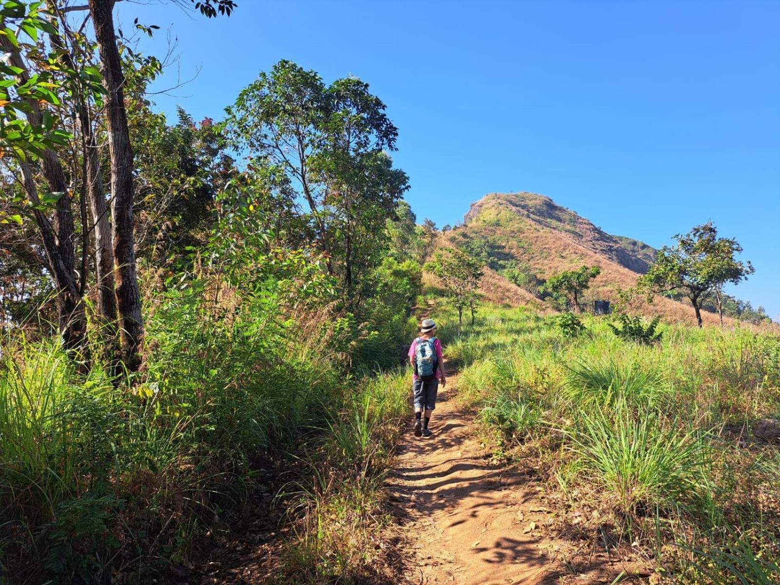 Munnar Village Homes מראה חיצוני תמונה