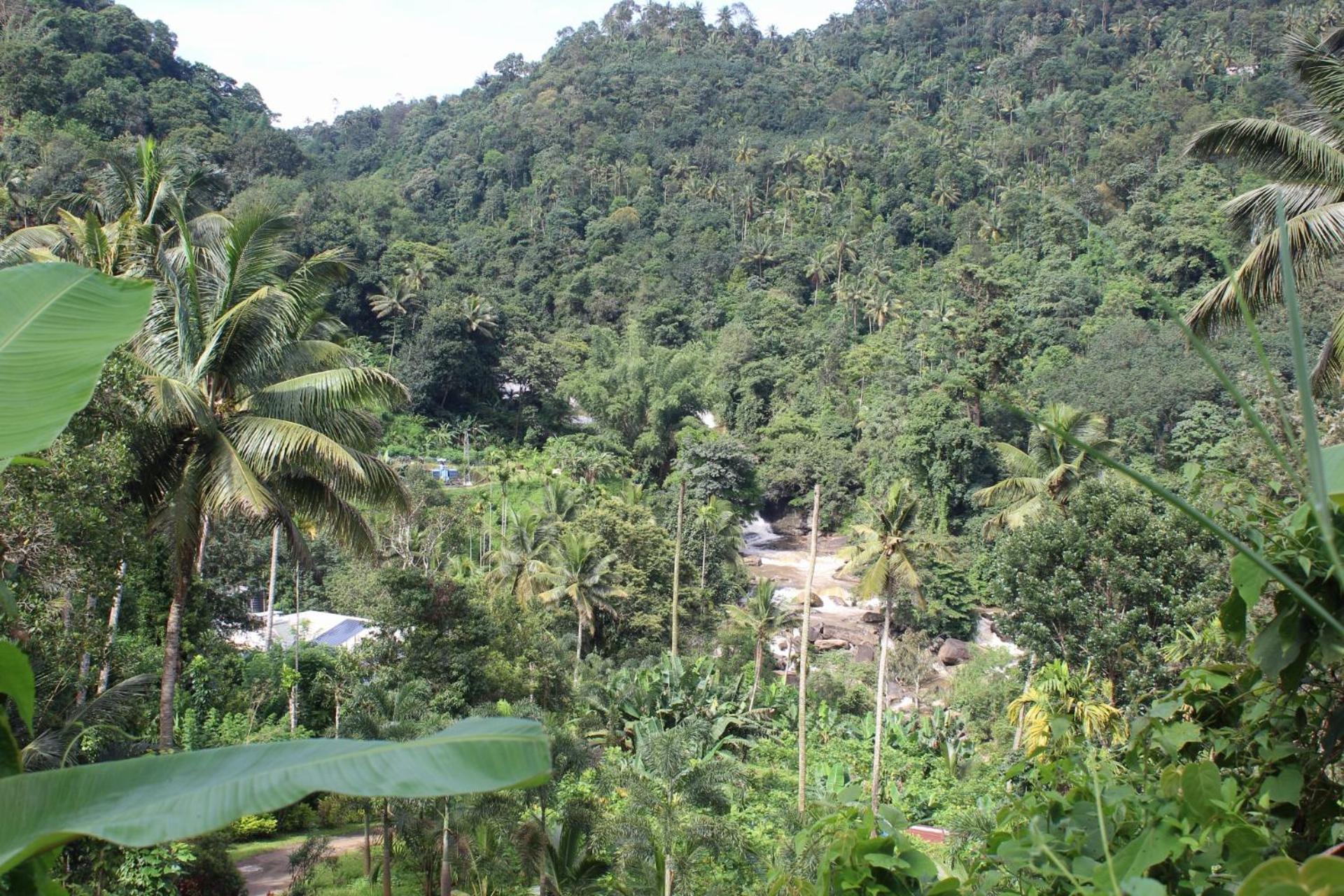 Munnar Village Homes מראה חיצוני תמונה