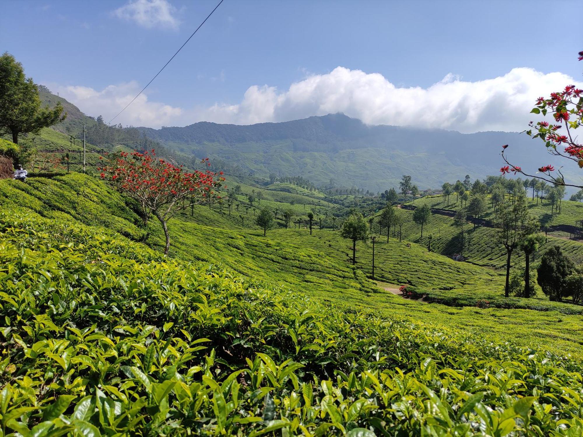 Munnar Village Homes מראה חיצוני תמונה