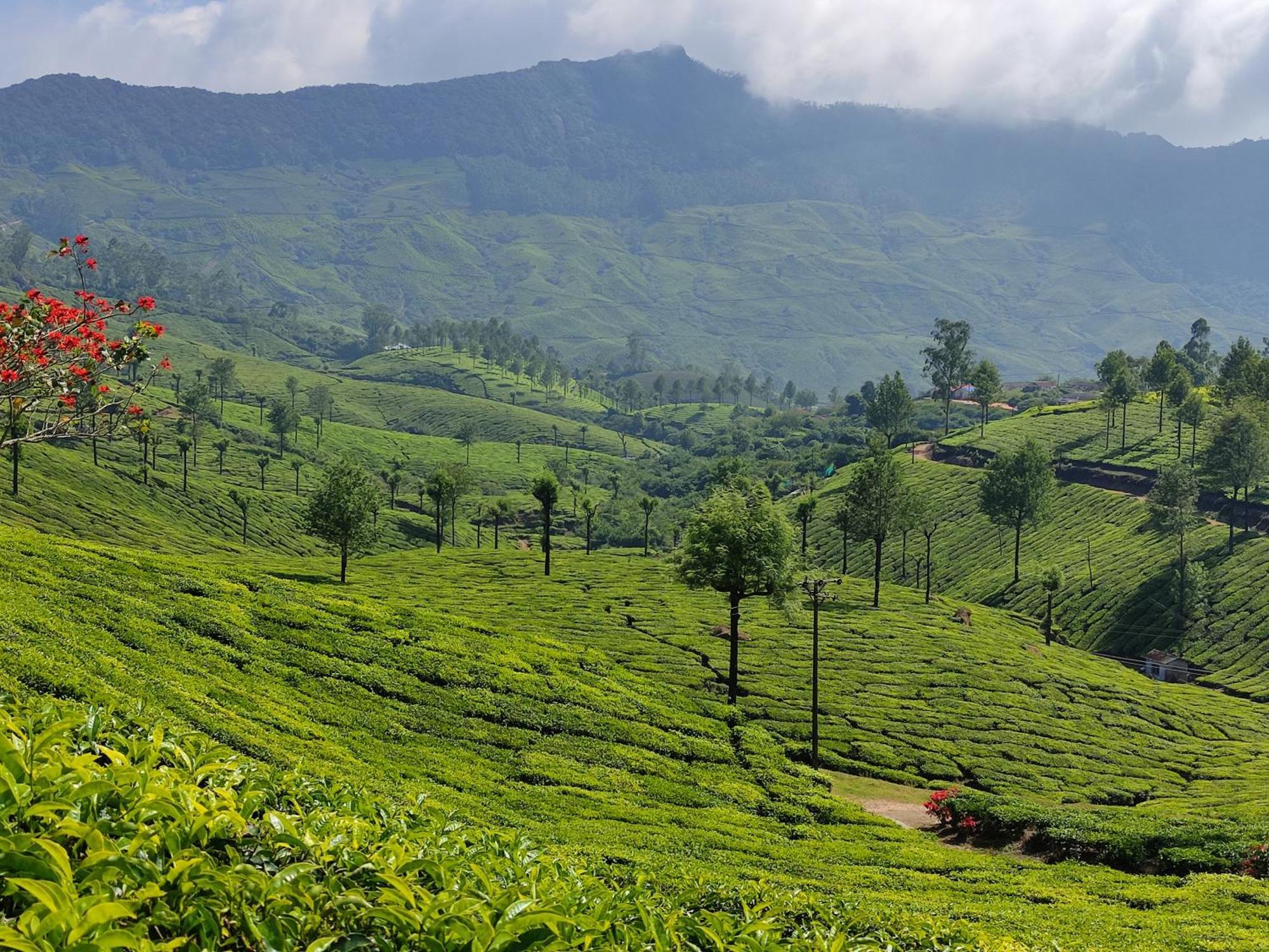 Munnar Village Homes מראה חיצוני תמונה